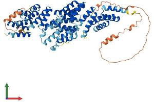 AlphaFold protein structure predicition of Human Recombinant CDC16 Protein, UniprotID Q13042 (CDC16 Protein (AA 1-620) (His tag))