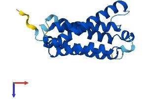 AlphaFold protein structure predicition of Mouse Recombinant Tmem220 Protein, UniprotID Q8BP07 (TMEM220 Protein (AA 1-167) (His tag))