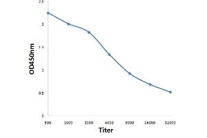 Antigen: 0. (C9ORF72 antibody  (AA 391-481))