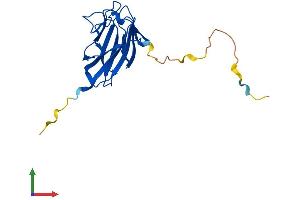 AlphaFold protein structure predicition of Mouse Recombinant Tifa Protein, UniprotID Q793I8 (TIFA Protein (AA 1-184) (His tag))
