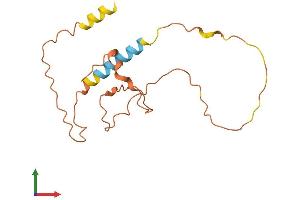 AlphaFold protein structure predicition of Human Recombinant IQCJ Protein, UniprotID Q1A5X6 (IQCJ Protein (AA 1-159) (His tag))