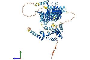 AlphaFold protein structure predicition of Human Recombinant DDX53 Protein, UniprotID Q86TM3 (DDX53 Protein (AA 1-631) (His tag))