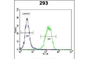 Flow cytometric analysis of 293 cells (right histogram) compared to a negative control cell (left histogram). (PCOTH antibody  (AA 14-42))