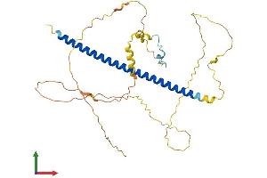 AlphaFold protein structure predicition of Human Recombinant ATF4 Protein, UniprotID P18848 (ATF4 Protein (AA 1-351) (His tag))