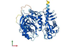 AlphaFold protein structure predicition of Mouse Recombinant Fpgt Protein, UniprotID G5E8F4