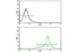 Flow cytometric analysis of WiDr cells using IGFBP6 antibody (green) compared to a negative control (blue). (IGFBP6 antibody  (AA 176-200))