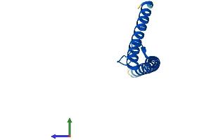 Protein Structure (PS) image for Translocase of Inner Mitochondrial Membrane 10 (TIMM10) (AA 1-90) protein (His tag) (ABIN7544348)