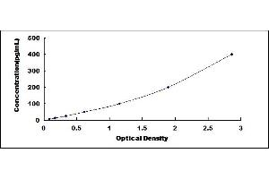 Typical standard curve (C5A ELISA Kit)