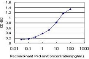 Detection limit for recombinant GST tagged CCL15 is approximately 0. (CCL15 antibody  (AA 25-113))