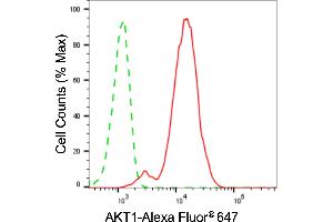 Flow cytometric analysis of AKT1 expression in C2C12 cells using AKT1 antibody (ABIN7800778), 1:2,000). (AKT1 antibody)