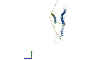 AlphaFold protein structure predicition of Mouse Recombinant Epsti1 Protein, UniprotID Q8VDI1