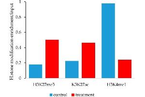 Epigenetic histone marks differ between control and YM155 treated human synovial sarcoma cells, HS-SY-II, at the BIRC5 promoter. (Histone 3 antibody  (H3K4me, pThr6))
