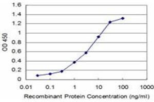 Detection limit for recombinant GST tagged NEUROG3 is approximately 0. (Neurogenin 3 antibody  (AA 1-101))