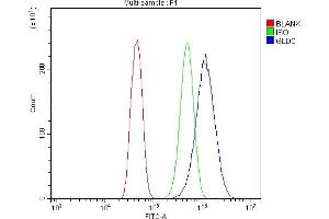 Flow Cytometry analysis of CACO-2 cells using anti-Glycine decarboxylase/GLDC antibody (ABIN7602073). (GLDC antibody  (AA 574-1020))