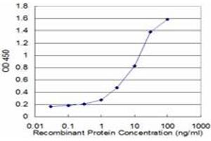 Detection limit for recombinant GST tagged MFGE8 is approximately 0. (MFGE8 antibody  (AA 61-170))