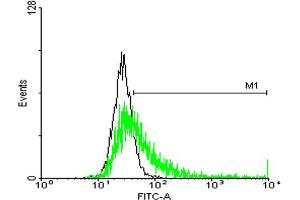 FACS analysis of negative control 293 cells (Black) and HLA-DQB1 expressing 293 cells (Green) using HLA-DQB1 purified MaxPab mouse polyclonal antibody. (HLA-DQB1 antibody  (AA 1-261))