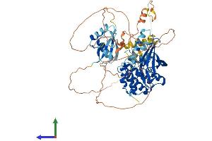 Protein Structure (PS) image for Mitogen-Activated Protein Kinase Kinase Kinase 3 (MAP3K3) (AA 1-626) protein (His tag) (ABIN7557662)