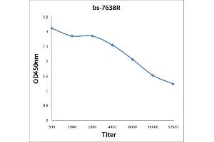 Antigen: 2 µg/100 µL  Primary: Antiserum, 1:500, 1:1000, 1:2000, 1:4000, 1:8000, 1:16000, 1:32000;  Secondary: HRP conjugated Rabbit Anti-Goat IgG at 1: 5000;  TMB staining Read the data in Microplate Reader by 450nm. (RHCG antibody  (AA 50-150))