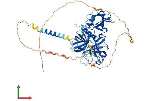 AlphaFold protein structure predicition of Mouse Recombinant Tmprss13 Protein, UniprotID Q5U405