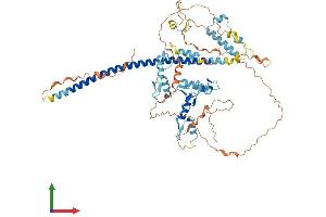 AlphaFold protein structure predicition of Human Recombinant ZNF398 Protein, UniprotID Q8TD17