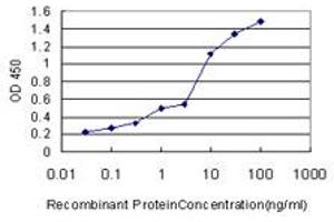 Detection limit for recombinant GST tagged PRKCD is approximately 0. (PKC delta antibody  (AA 577-676))