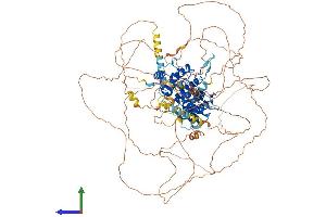 AlphaFold protein structure predicition of Mouse Recombinant Arhgap6 Protein, UniprotID O54834