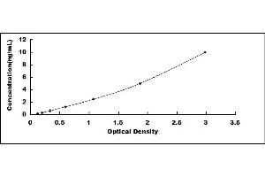 Typical standard curve (CCL16 ELISA Kit)