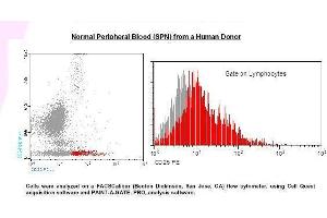 Image no. 1 for anti-Interleukin 2 Receptor, alpha (IL2RA) antibody (PE) (ABIN1112100) (CD25 antibody  (PE))