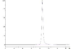 The purity of Human IL-5R alpha is greater than 95 % as determined by SEC-HPLC. (IL5RA Protein (AA 21-335) (His-Avi Tag))