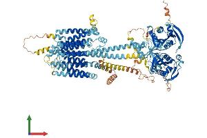 AlphaFold protein structure predicition of Mouse Recombinant Adcy2 Protein, UniprotID Q80TL1