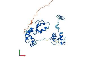 AlphaFold protein structure predicition of Human Recombinant RNF166 Protein, UniprotID Q96A37