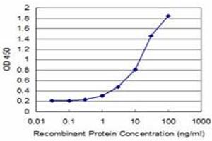 Detection limit for recombinant GST tagged USP14 is approximately 1ng/ml as a capture antibody. (USP14 antibody  (AA 395-494))