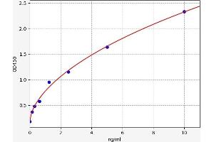 Typical standard curve (ADAMTS5 ELISA Kit)