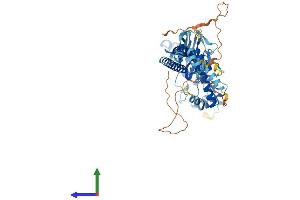 AlphaFold protein structure predicition of Mouse Recombinant Asic4 Protein, UniprotID Q7TNS7 (ACCN4 Protein (AA 1-539) (His tag))