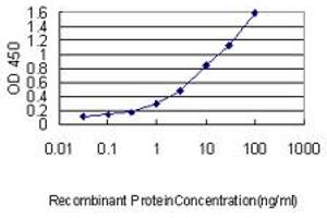 Detection limit for recombinant GST tagged MAD2L1 is approximately 0. (MAD2L1 antibody  (AA 1-205))