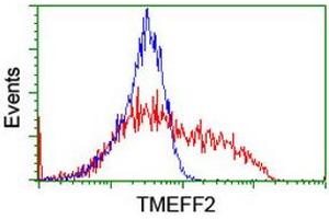 Image no. 1 for anti-Transmembrane Protein with EGF-Like and Two Follistatin-Like Domains 2 (TMEFF2) antibody (ABIN1501417) (TMEFF2 antibody)