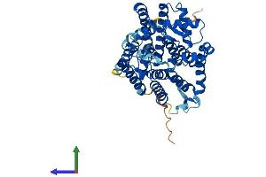 AlphaFold protein structure predicition of Mouse Recombinant Alg3 Protein, UniprotID Q8K2A8 (ALG3 Protein (AA 1-438) (His tag))