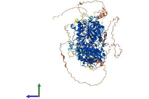 Protein Structure (PS) image for ATP/GTP Binding Protein 1 (AGTPBP1) (AA 1-1226) protein (His tag) (ABIN7553078)