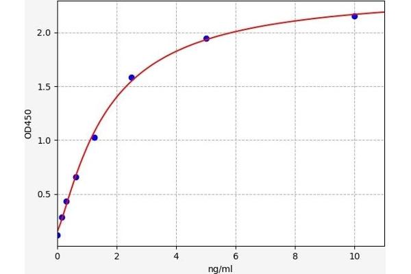 CYP3A5 ELISA Kit