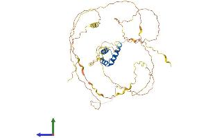 AlphaFold protein structure predicition of Human Recombinant IRX5 Protein, UniprotID P78411 (IRX5 Protein (AA 1-483) (His tag))