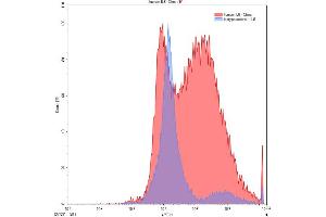 Detection of IL6 in Chos line transfected with target gene using Polyclonal Antibody to Interleukin 6 (IL6) (IL-6 antibody  (AA 30-212))