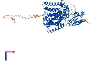 AlphaFold protein structure predicition of Human Recombinant PIGB Protein, UniprotID Q92521 (PIGB Protein (AA 1-554) (His tag))