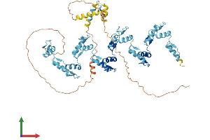 AlphaFold protein structure predicition of Human Recombinant ZSCAN2 Protein, UniprotID Q7Z7L9