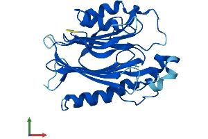 AlphaFold protein structure predicition of Mouse Recombinant Tango2 Protein, UniprotID P54797