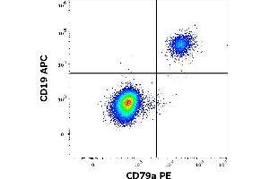 Flow cytometry multicolor surface staining of human lymphocytes using anti-human CD19 (LT19) APC antibody (10 μL reagent / 100 μL of peripheral whole blood) and intracellular staining of human lymphocytes using anti-human CD79a (HM47) PE antibody (10 μL reagent / 100 μL of peripheral whole blood).