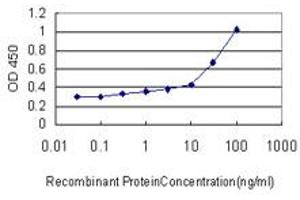 Detection limit for recombinant GST tagged RUNX2 is approximately 10ng/ml as a capture antibody. (RUNX2 antibody  (AA 251-350))