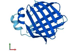 Protein Structure (PS) image for Fatty Acid Binding Protein 1, Liver (FABP1) (AA 1-127) protein (His tag) (ABIN7562851)