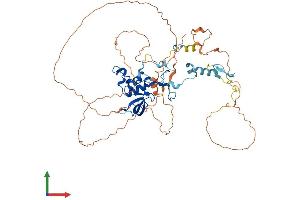 AlphaFold protein structure predicition of Human Recombinant CNOT2 Protein, UniprotID Q9NZN8 (CNOT2 Protein (AA 1-540) (His tag))