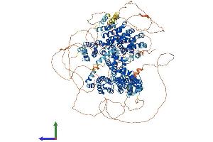 AlphaFold protein structure predicition of Mouse Recombinant Clasp1 Protein, UniprotID Q80TV8
