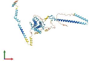 AlphaFold protein structure predicition of Mouse Recombinant Fam227b Protein, UniprotID Q9D518 (FAM227B Protein (AA 1-532) (His tag))
